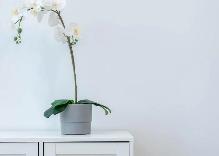 Industrial In Apartament Poznań