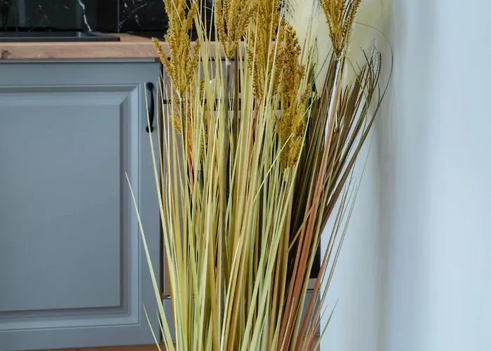 Apartament Industrial In *