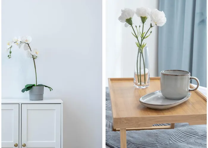 Apartament Industrial In